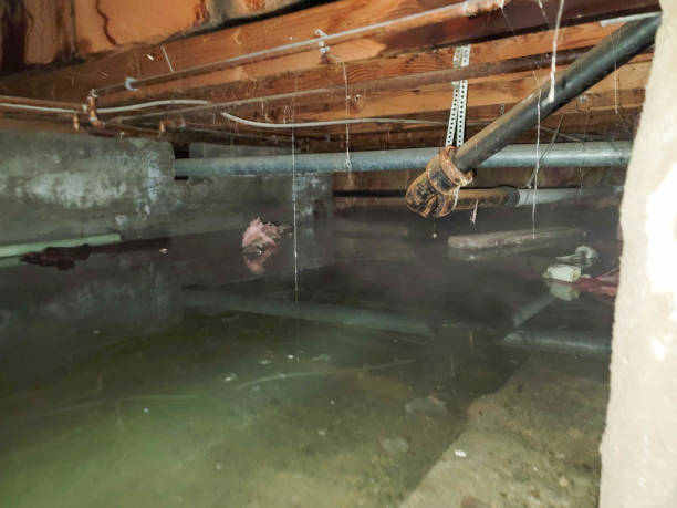 Best Flooded house restoration  in Watkins Glen, NY