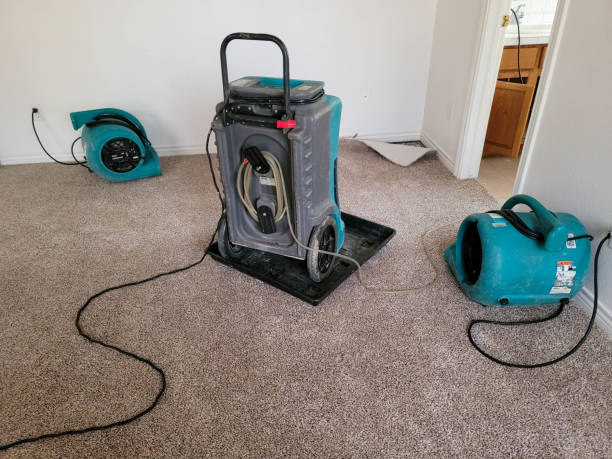 Best Water damage restoration specialists  in Watkins Glen, NY
