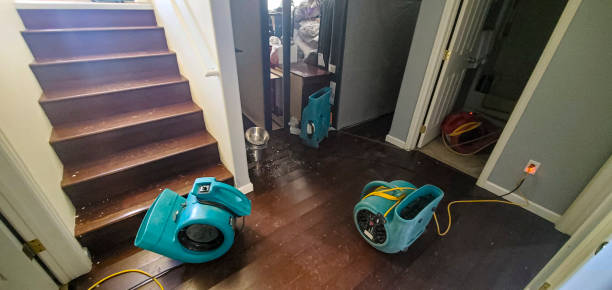 Best Mold removal after water damage  in Watkins Glen, NY