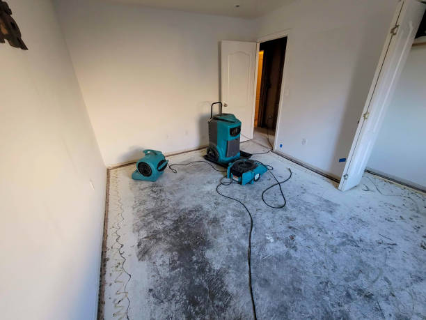 Best Commercial water damage restoration  in Watkins Glen, NY