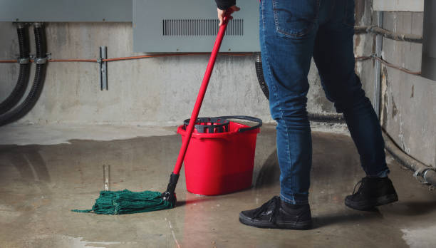 Best Flood damage cleanup  in Watkins Glen, NY