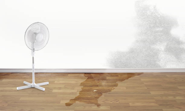 Best 24-hour water damage restoration  in Watkins Glen, NY