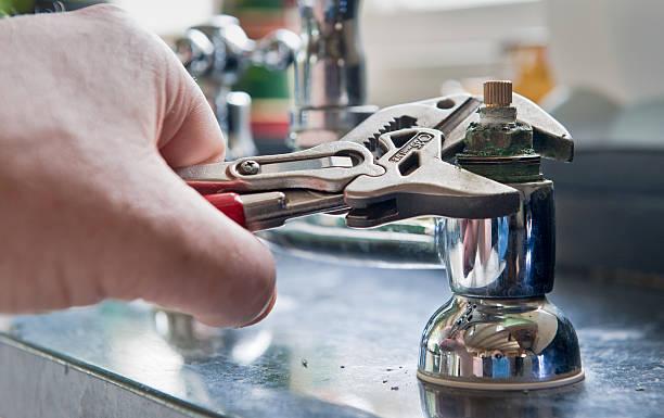 Best Mold removal after water damage  in Watkins Glen, NY