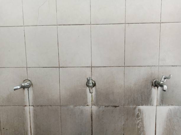 Best Water damage restoration insurance claims  in Watkins Glen, NY