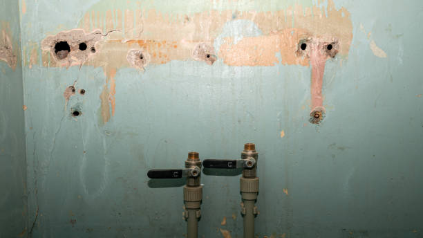 Best Carpet water damage restoration  in Watkins Glen, NY
