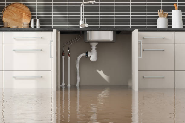 Best Flood restoration services  in Watkins Glen, NY
