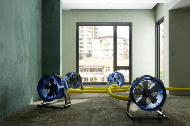 Best Residential water damage restoration  in Watkins Glen, NY